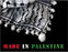 Made in Palestine