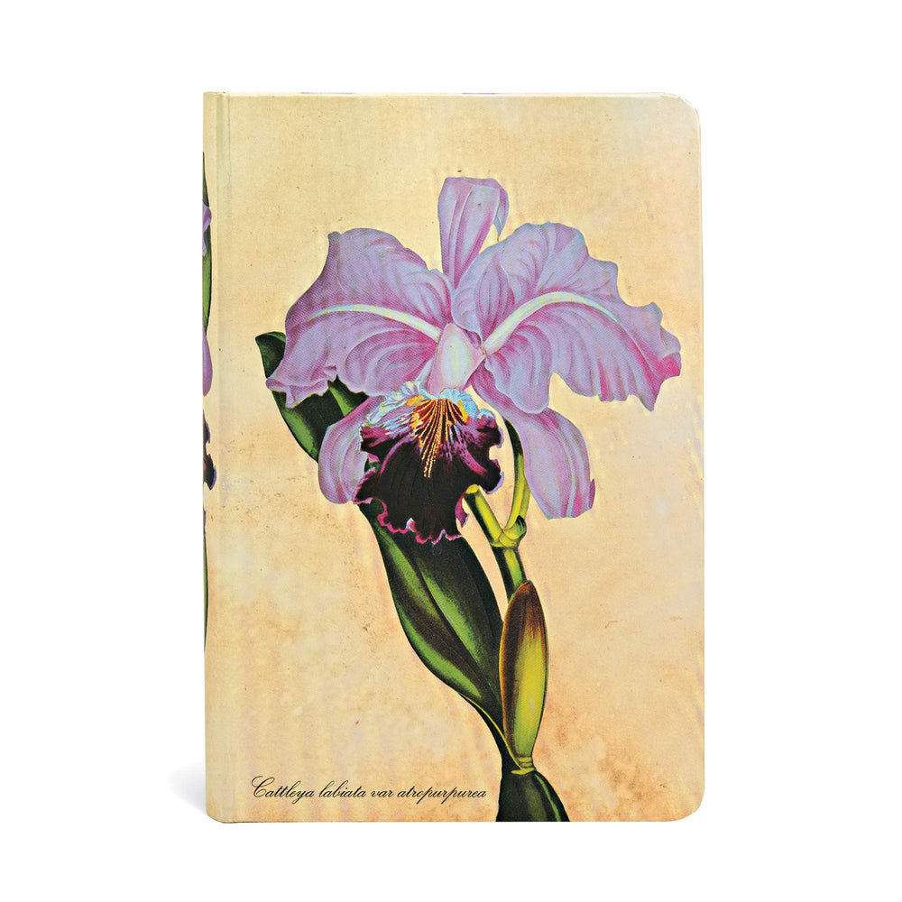 Painted Botanicals