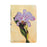 Painted Botanicals
