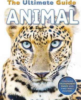 THE ULTIMATE GUIDE ANIMALS intelligence overview