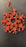 Star - Small