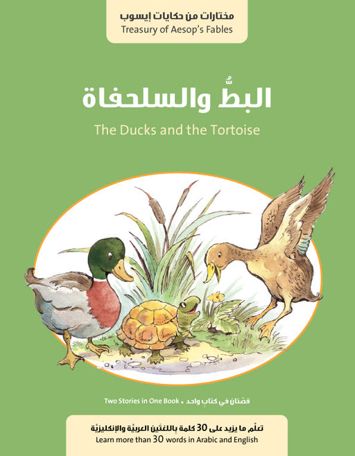 البط و السلحفاة / الاسد و الفار