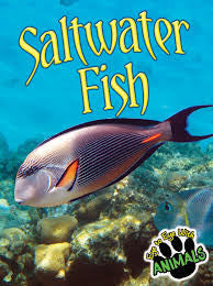 Saltwater Fish (Eye to Eye with Animals (Paperback))