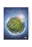Planet Earth - A New World Revealed