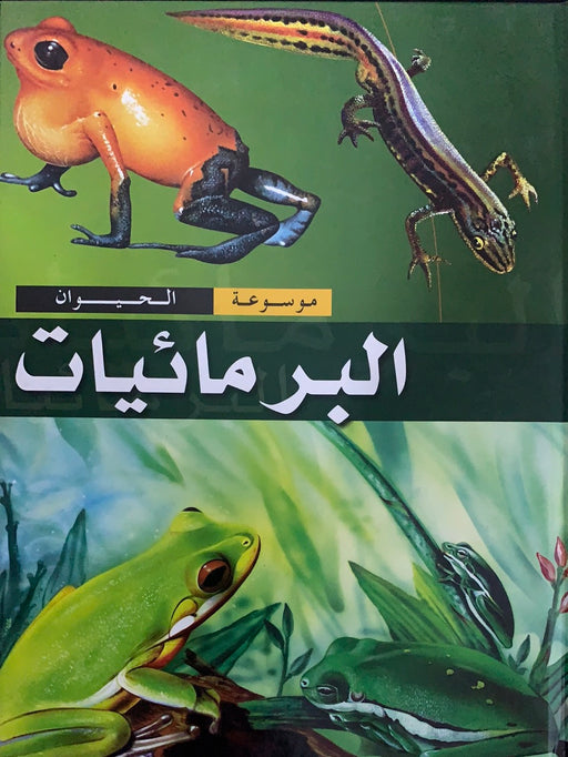 البرمائيات