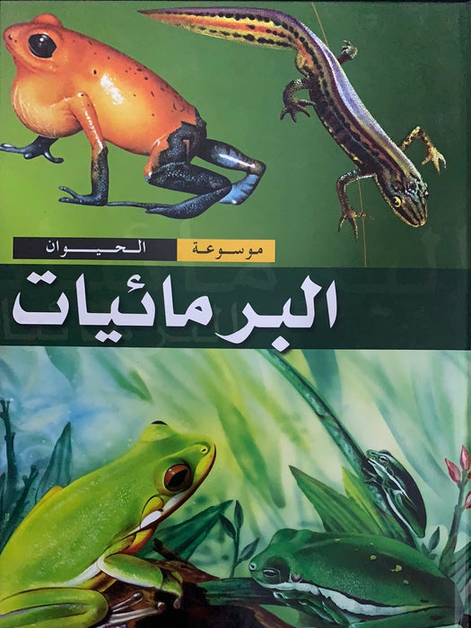 البرمائيات