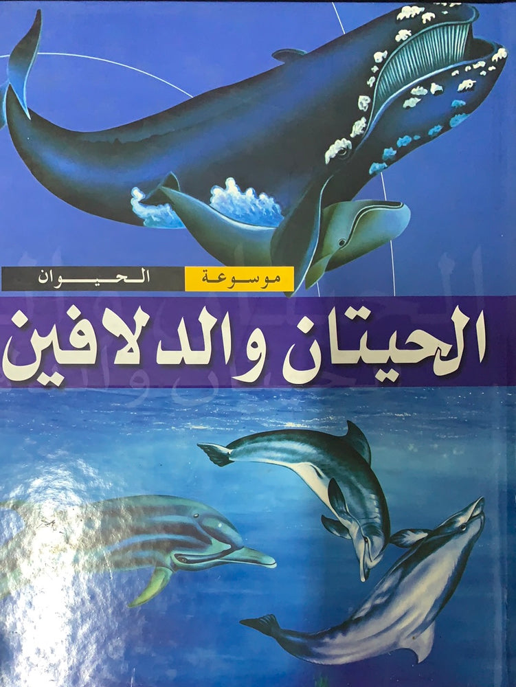 الحيتان و الدلافين