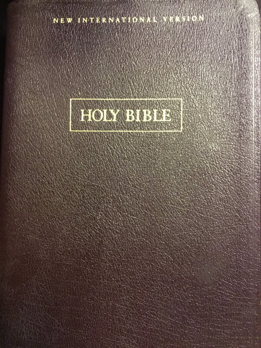 Holy Bible (English Version)
